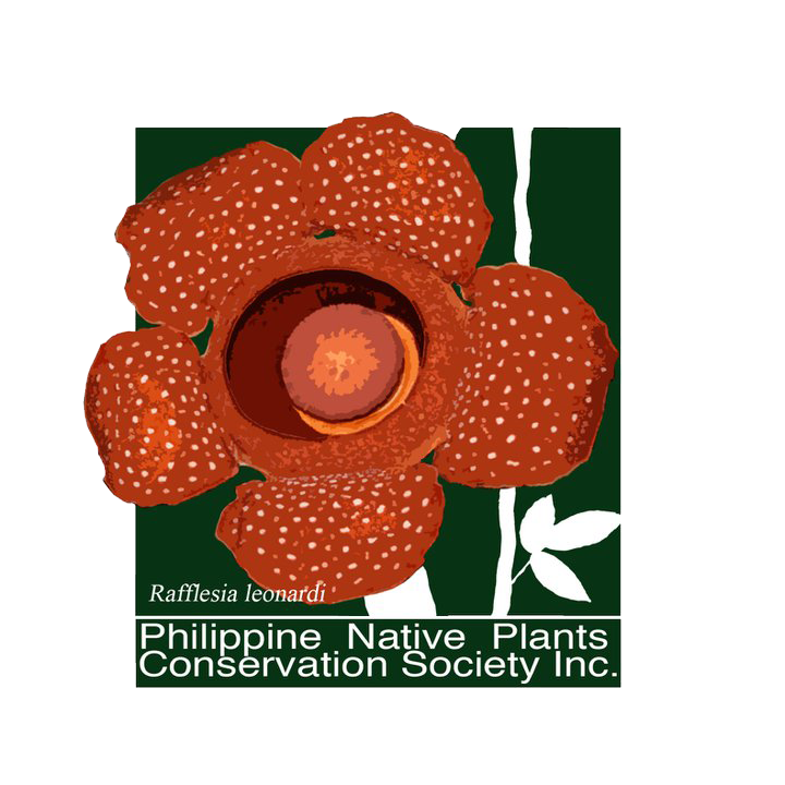 326260350_905621494112509_2566850034542939172_n